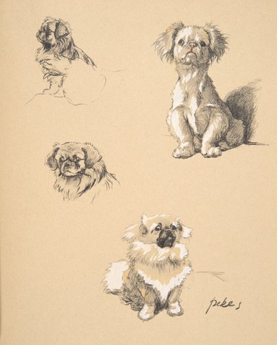 Pekes, 1930, Illustrations from his Sketch Book used for 